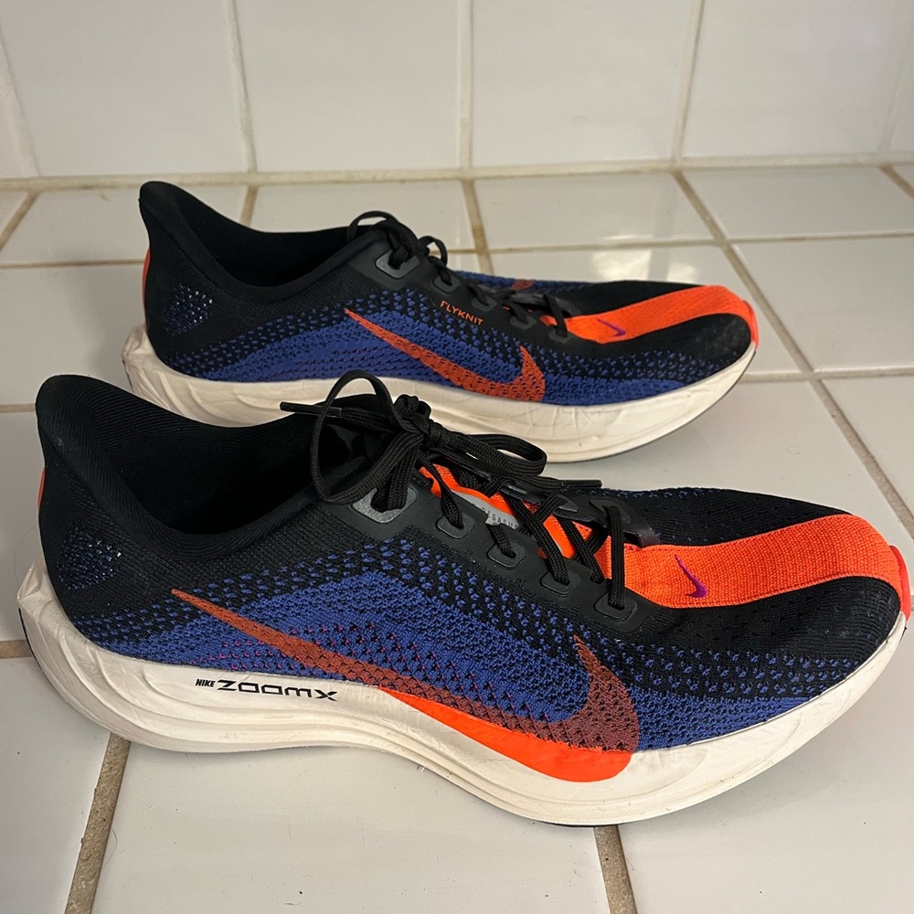 Nike Pegasus Plus